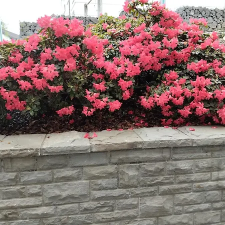 Schoene Naehe Biggesee Apartamento