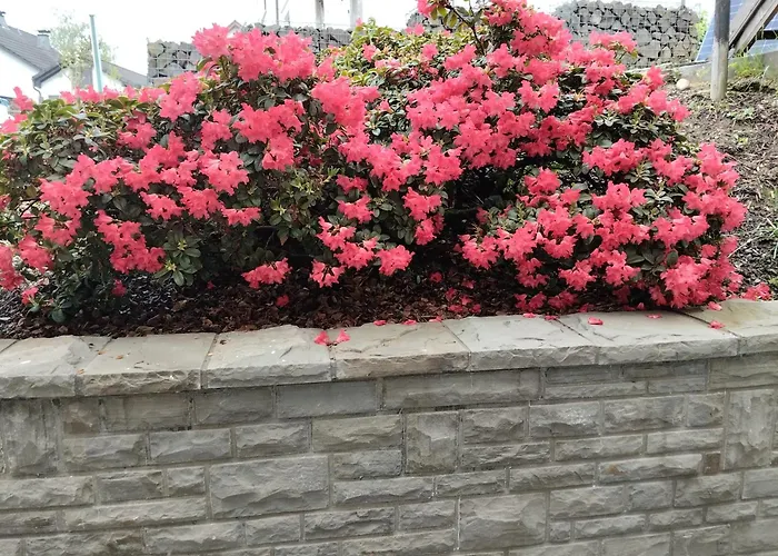 Schoene Naehe Biggesee 公寓